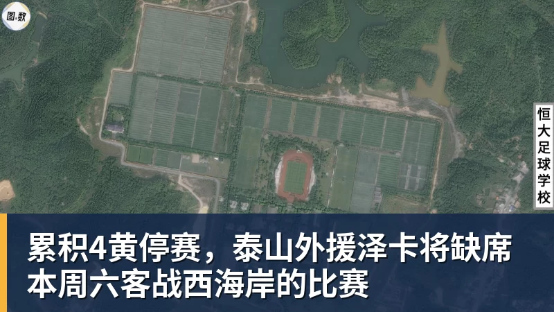 累积4黄停赛，泰山外援泽卡将缺席本周六客战西海岸的比赛