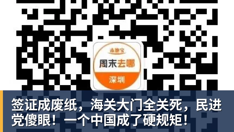 签证成废纸，海关大门全关死，民进党傻眼！一个中国成了硬规矩！