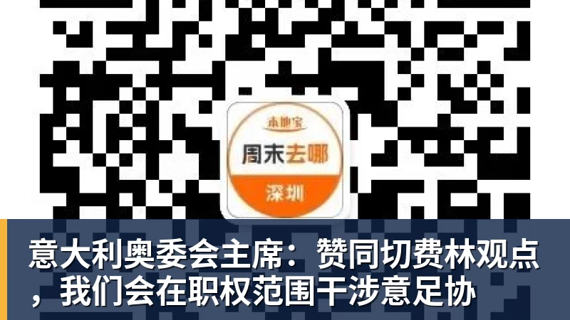 意大利奥委会主席:赞同切费林观点,我们会在职权范围干涉意足协