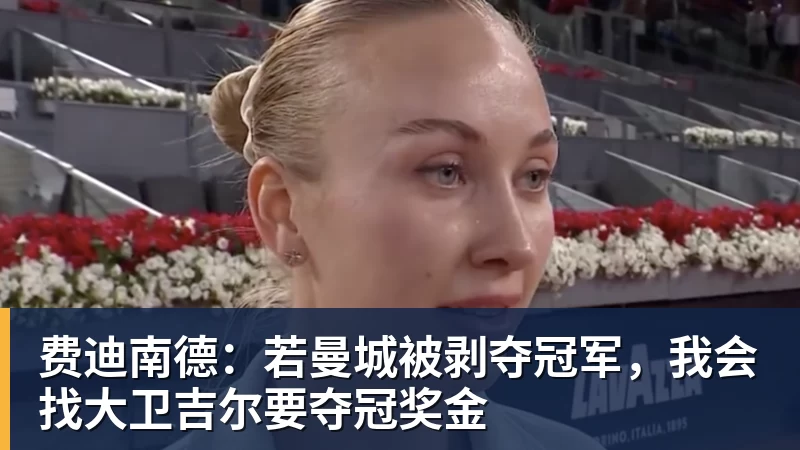 费迪南德：若曼城被剥夺冠军，我会找大卫吉尔要夺冠奖金